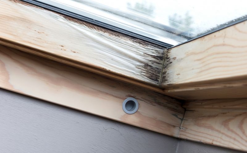 Professional Repair Consultation